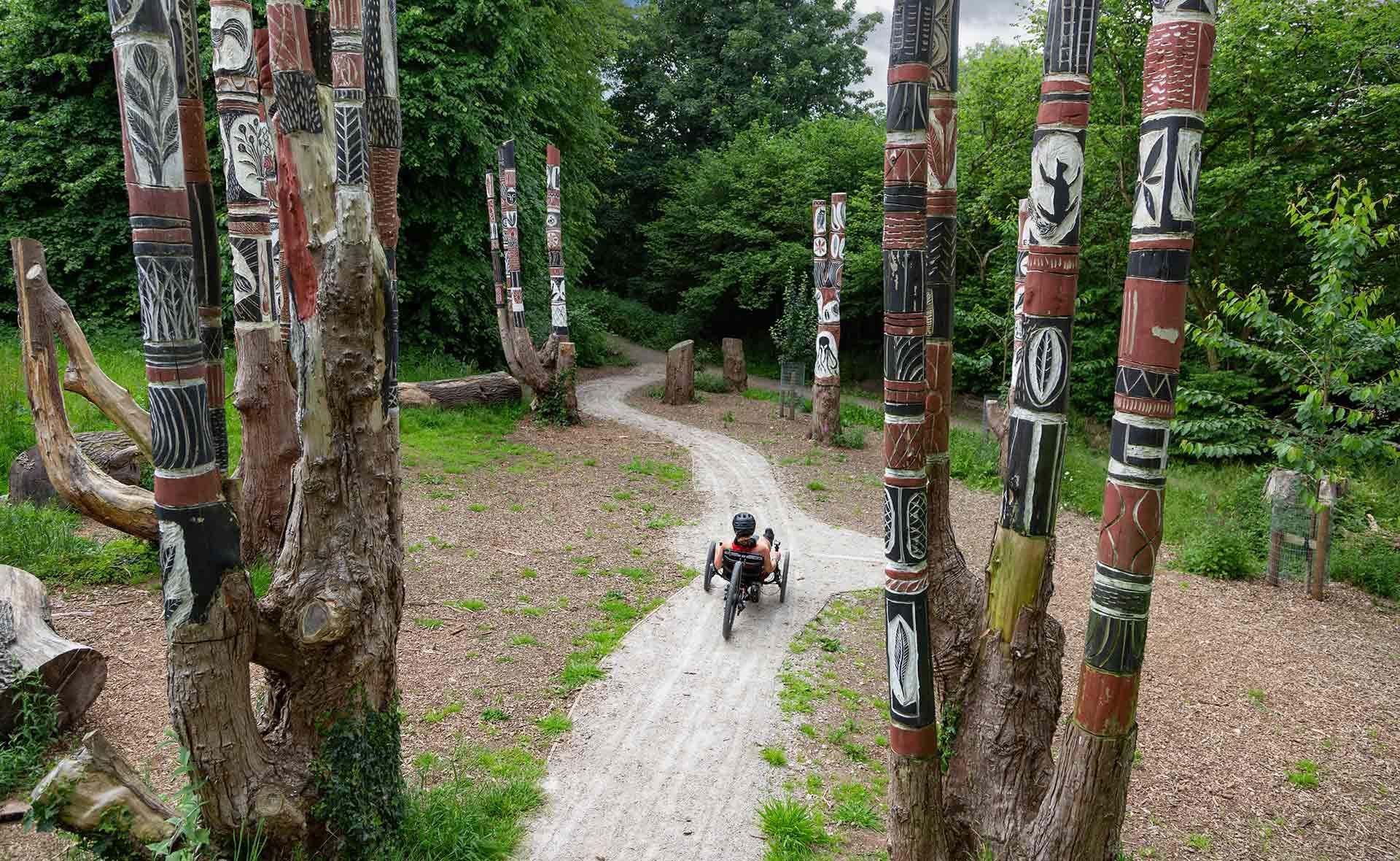 ICE Sprint X 365 Trail Special Edition Recumbent Trike