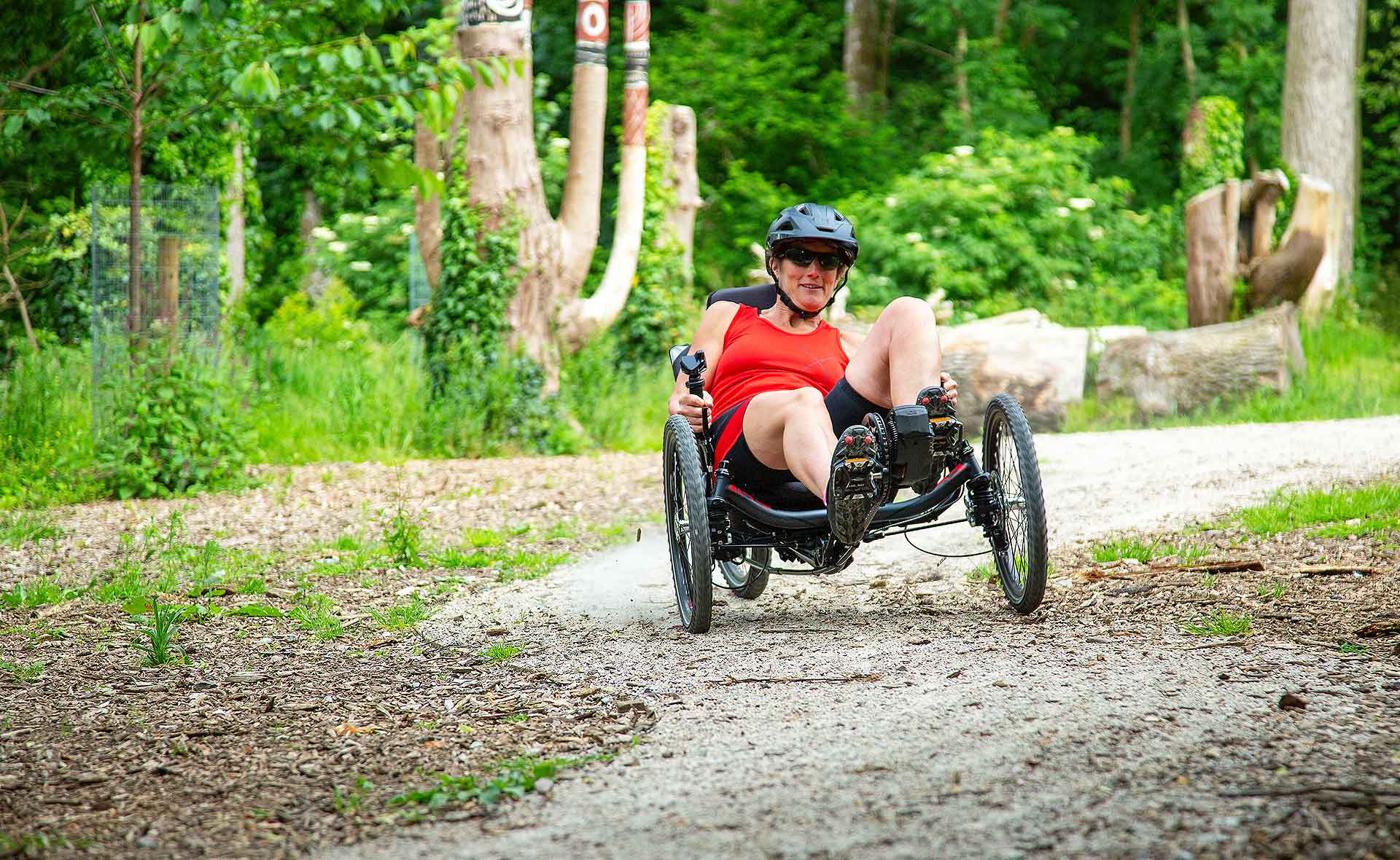 ICE-trikes-E-assist-007