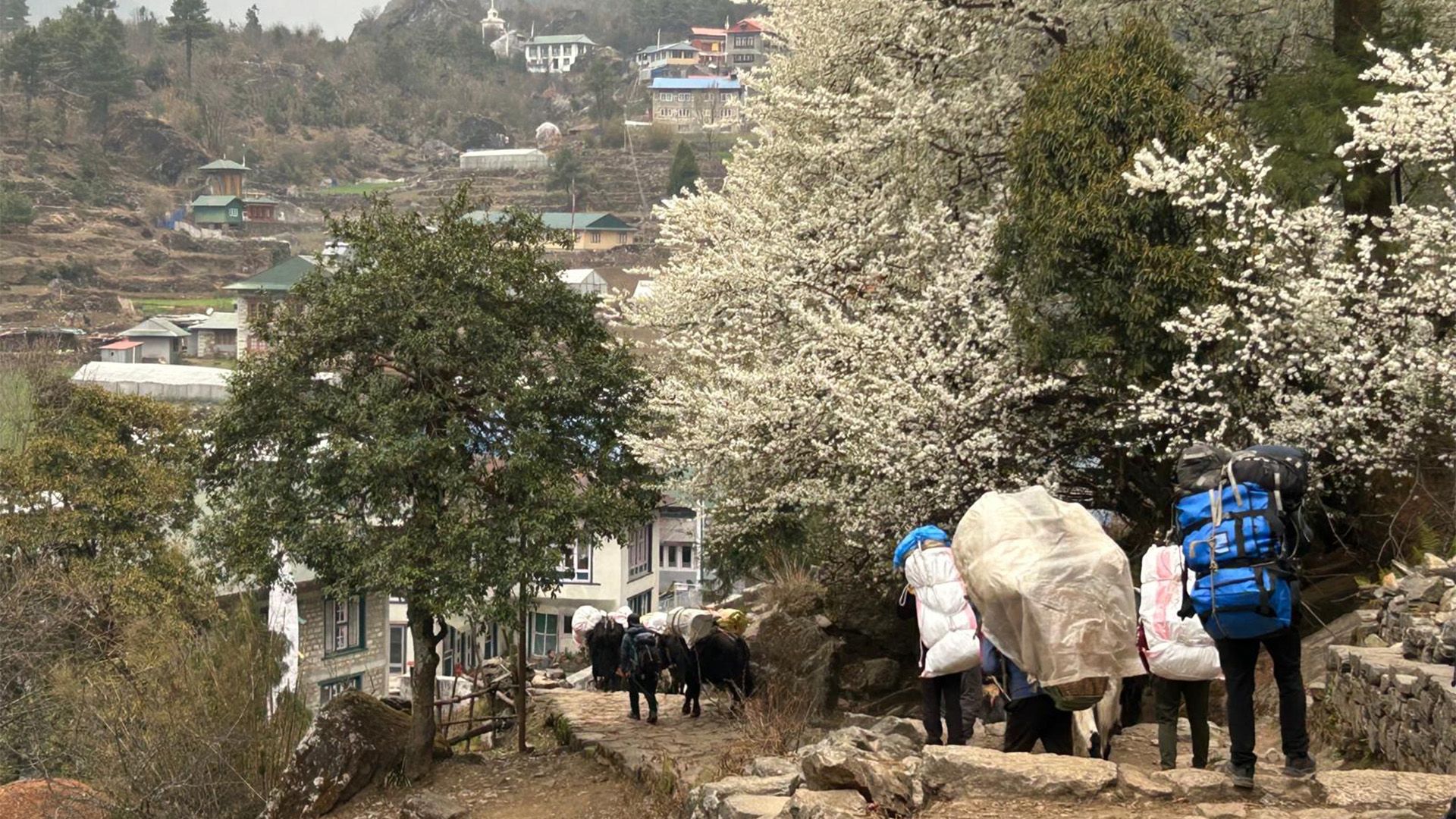 Karen Darke Everest 8