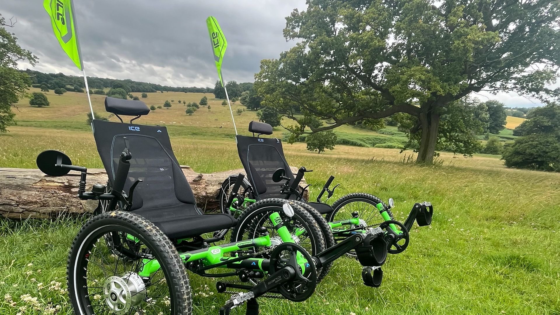 Two green trikes in the woods