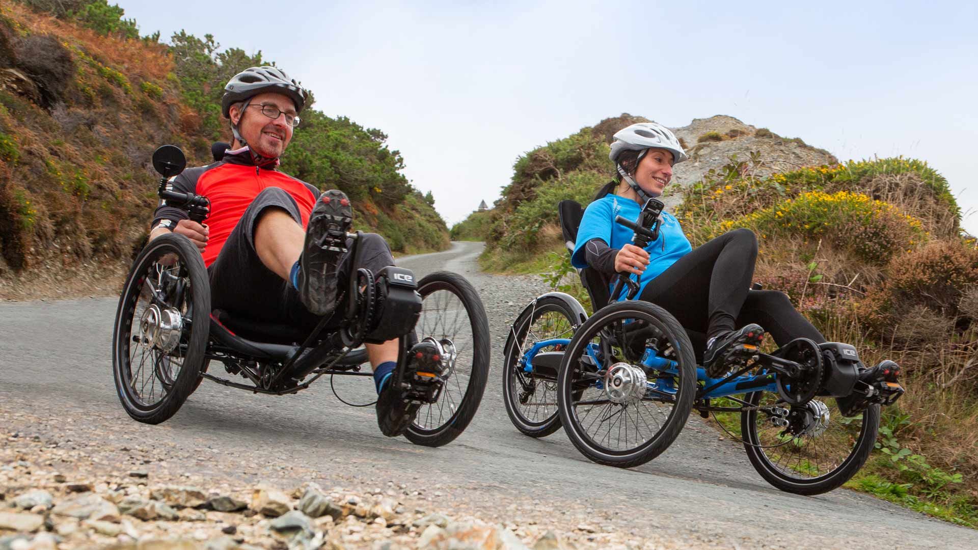 ICE E-Assist Shimano Steps