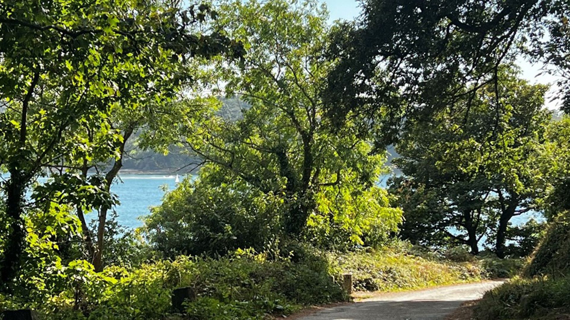 Trike ride in the woods