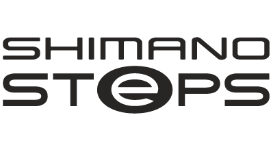 Shimano Steps on ICE Trikes