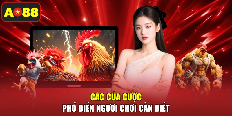 Các cửa cược phổ biến người chơi cần biết