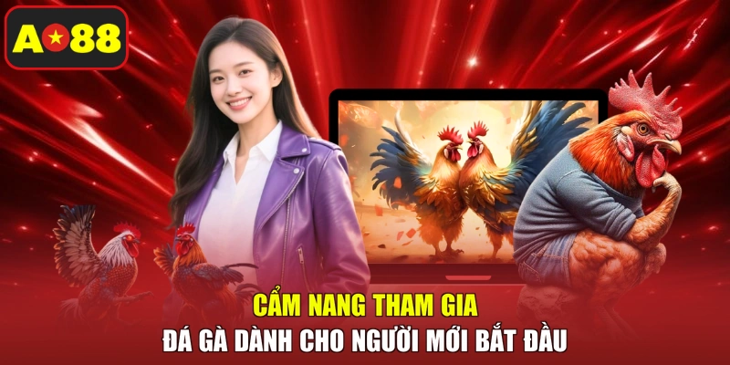 Cẩm nang tham gia đá gà dành cho người mới bắt đầu 