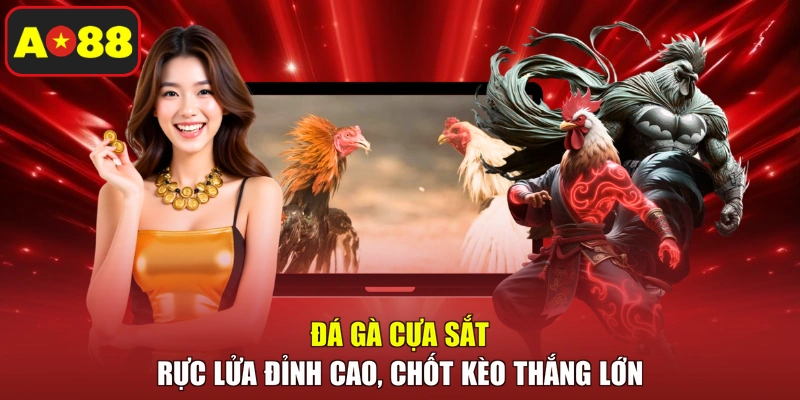 Đá Gà Cựa Sắt – Rực Lửa Đỉnh Cao, Chốt Kèo Thắng Lớn
